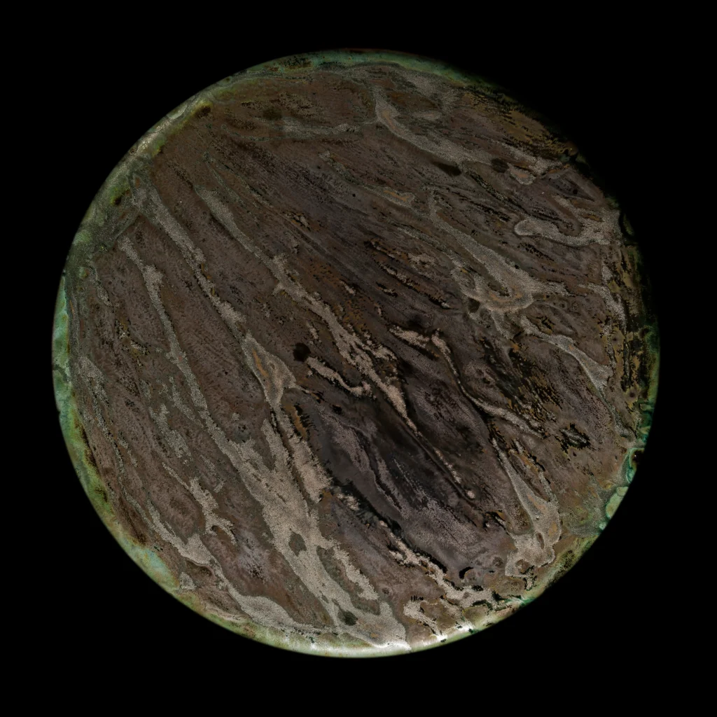 Collection Textures – Écorce