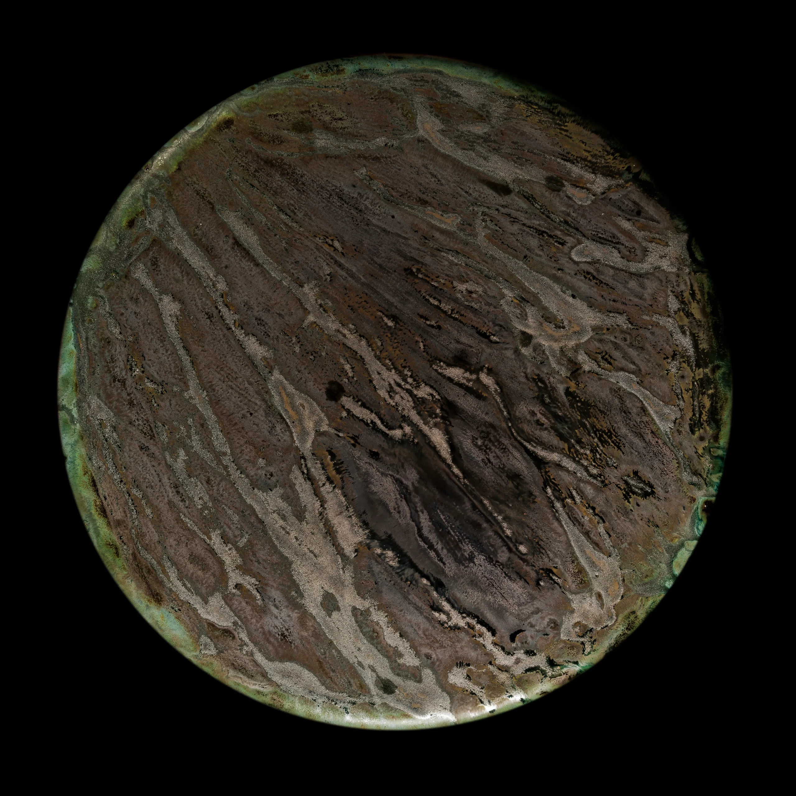 Collection Textures – Écorce