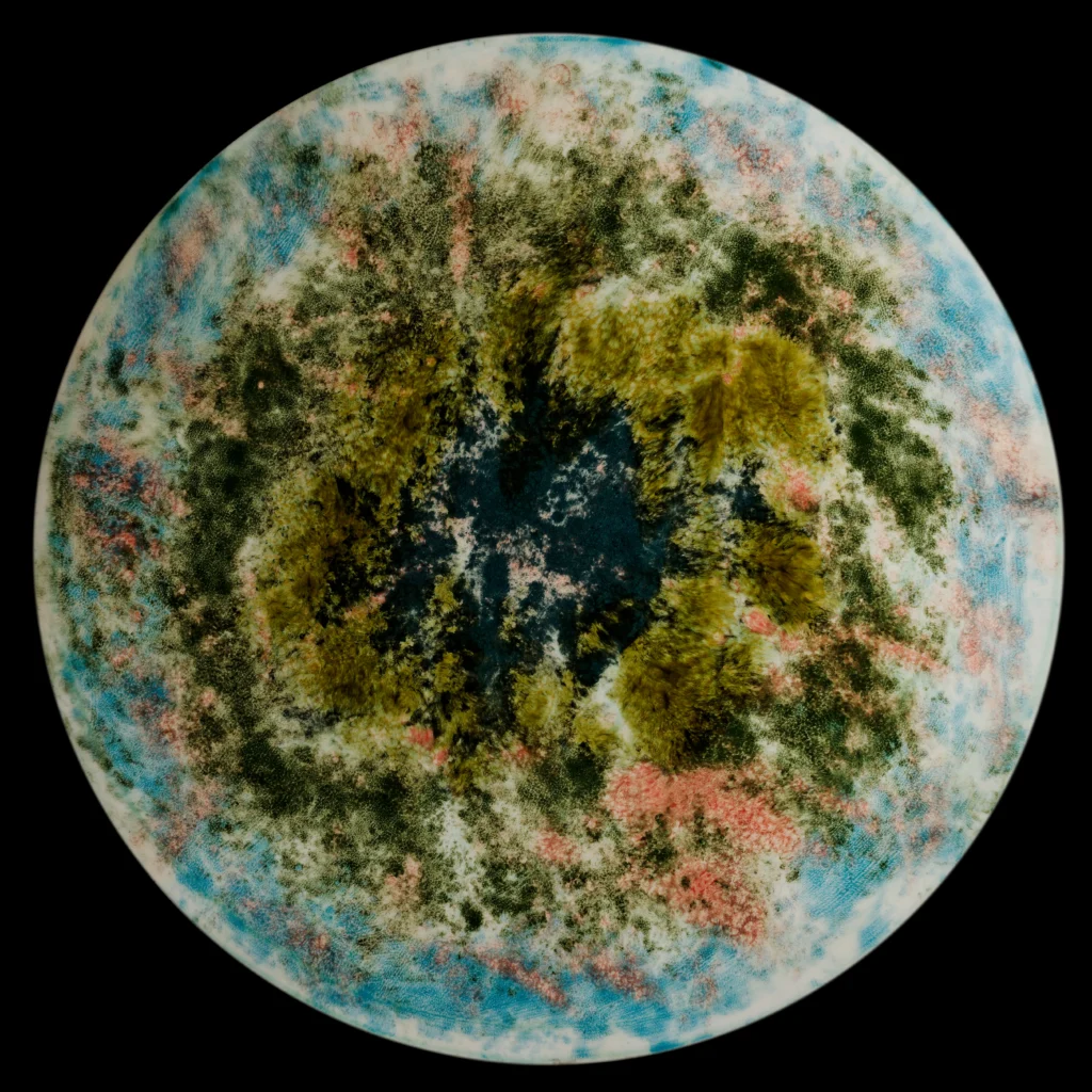 Collection Jardins de printemps – Symbiose